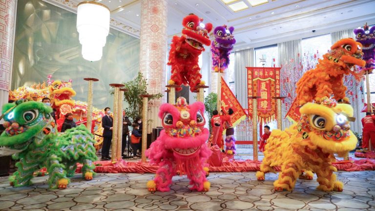Lion Dance Performance