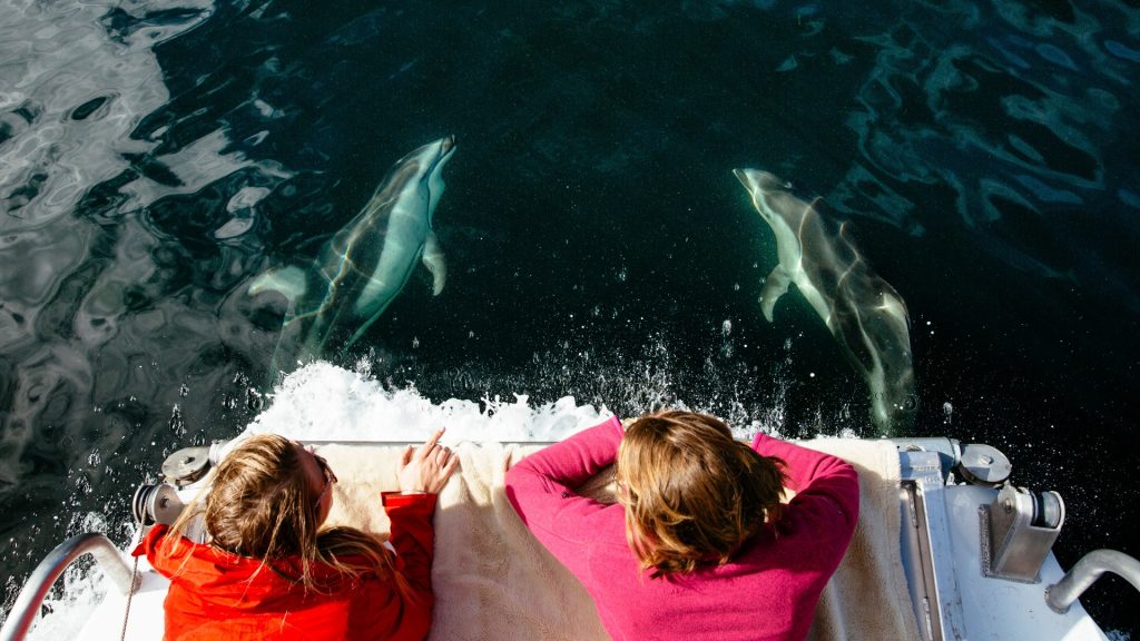 adult summer camp- Nimmo Bay