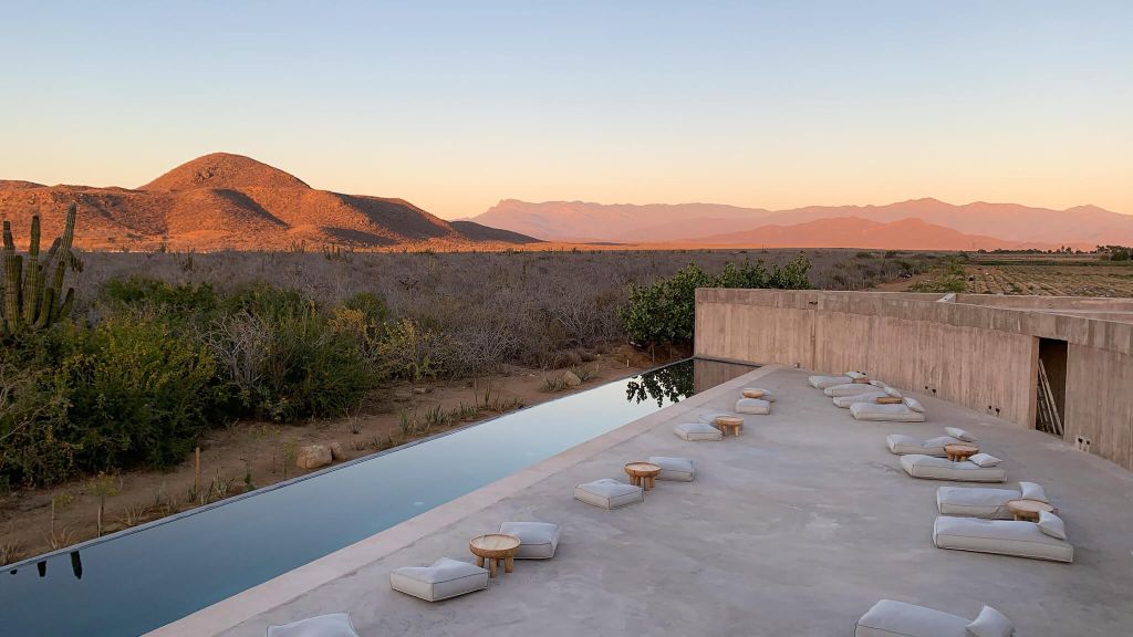 best places to make friends - Paradero Todos Santos