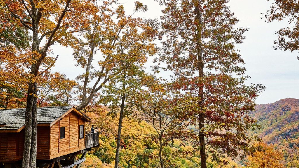 treehouse hotels - Primland Resort's Treehouse overlooking fall scenery
