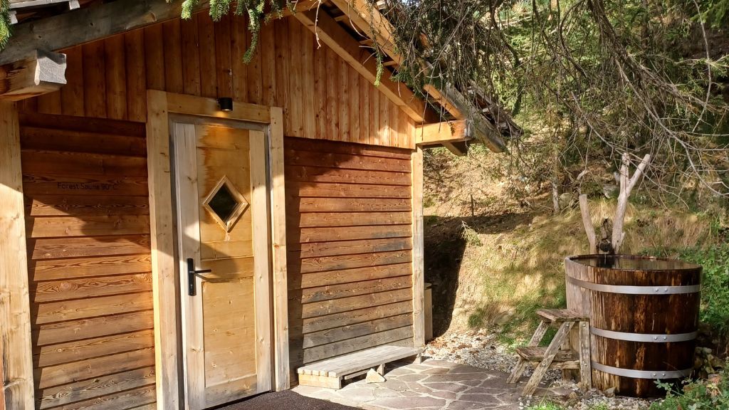 hotels with cold plunges - Forestis forest sauna with outdoor cold bath