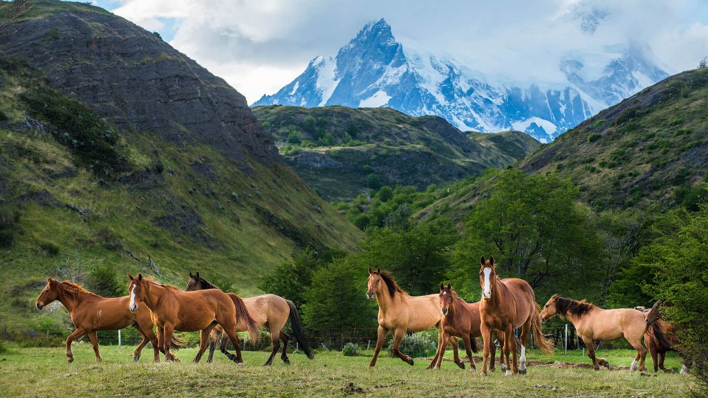 solo travel - explora, Chile