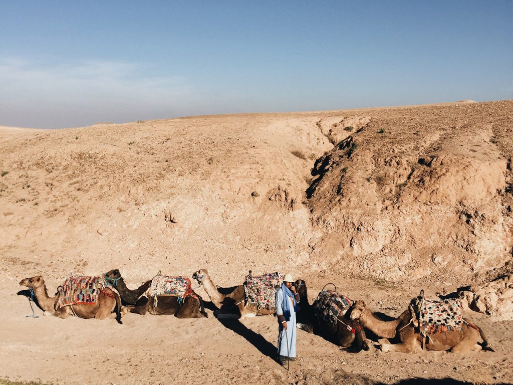 Marrakech travel guide - Scarabeo Camp