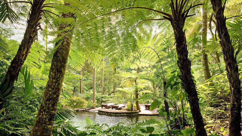 natural wellness hotels - COMO Shambhala Estate