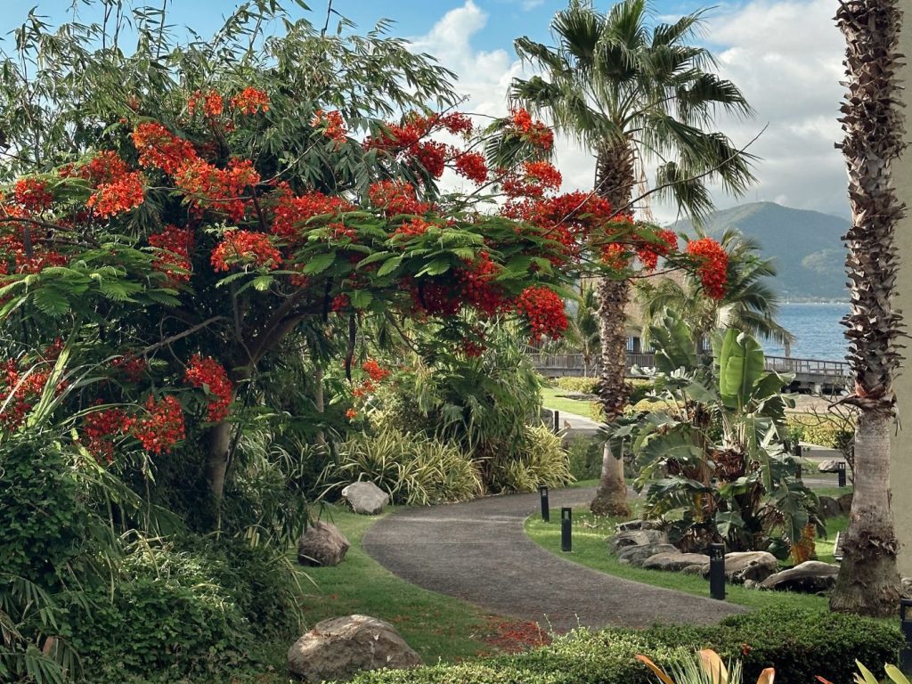 Park Hyatt St. Kitts - Honeymoon
