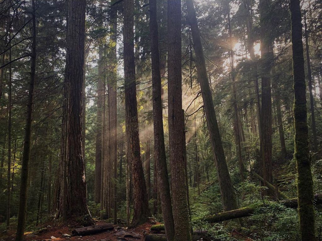 In memory of Joy Pecknold, Passport Editor