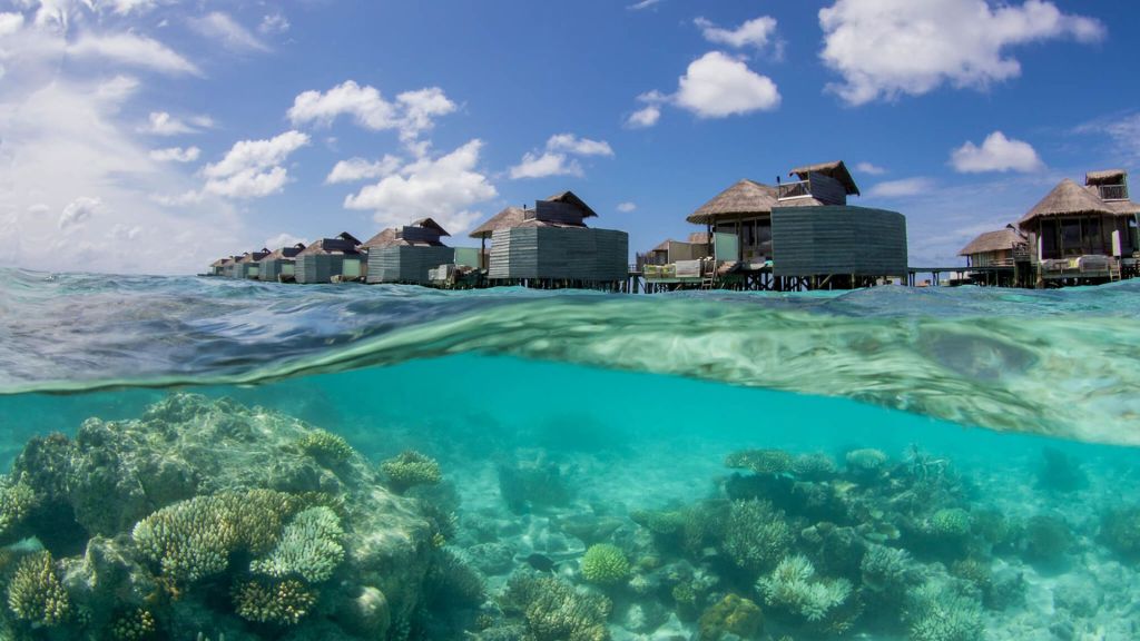 passion travel - more immersive retreats - a group of houses on stilts above water