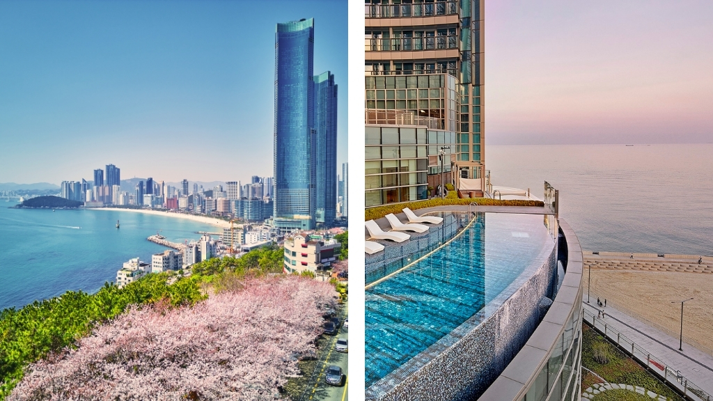 Where to Stay for Cherry Blossom Season - SIGNIEL Busan - Busan, South Korea