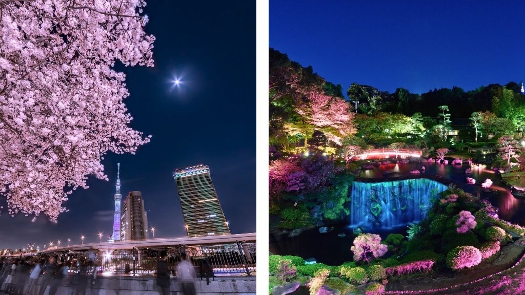 Where to Stay for Cherry Blossom Season - Hotel New Otani Tokyo EXECUTIVE HOUSE ZEN - Tokyo, Japan