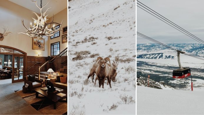 Jackson Hole + Rusty Parrot Travel Diary by Christine Flynn