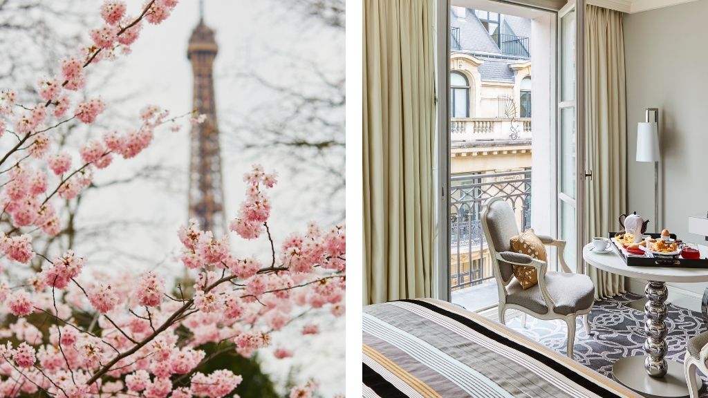 Where to Stay for Cherry Blossom Season - Sofitel Paris le Faubourg - Paris, France