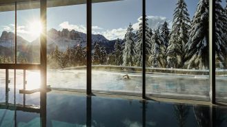 Winter in the Dolomites (1) - Forestis