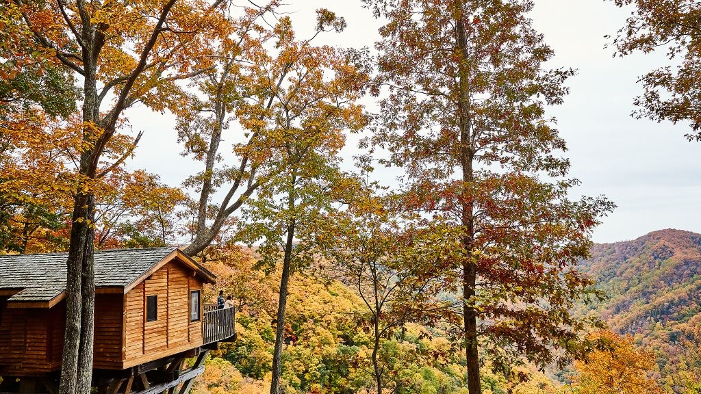 Taylor Swift's Eras - evermore - The Lodge at Primland, Auberge Collection