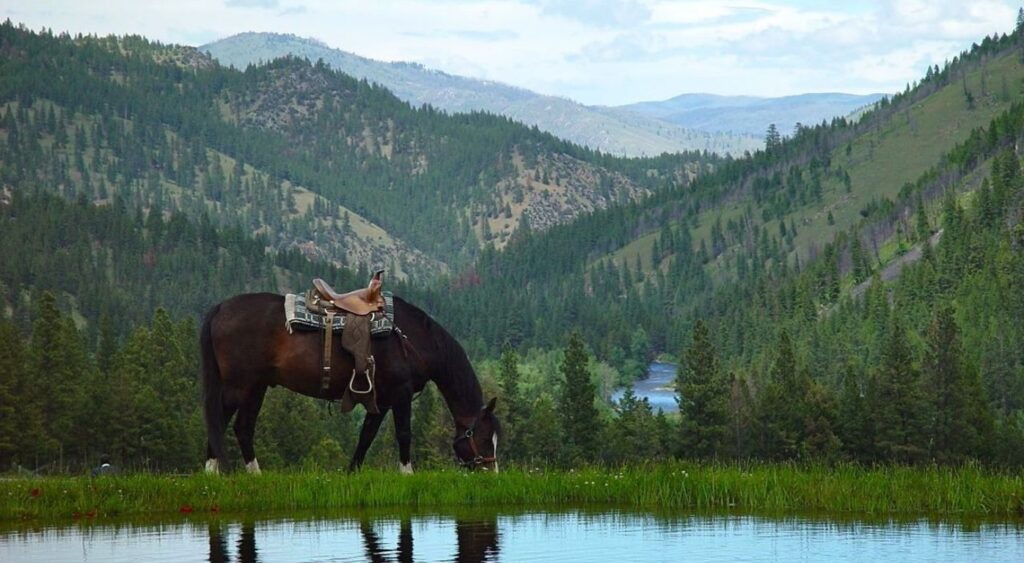 Horseback Riding Vacations - Triple Creek Ranch - Montana, United States