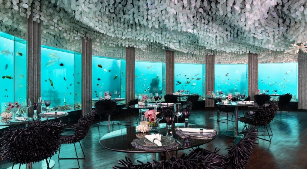 Hotels With Restaurants - Niyama Private Islands - Dhaalu Atoll, Maldives