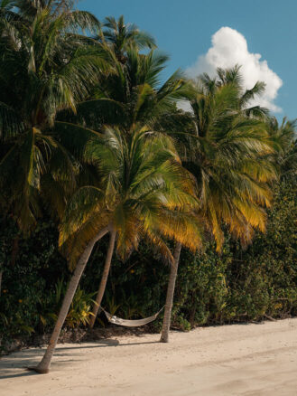 Hammock between palms at Niyama