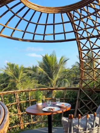 Dining at Terra