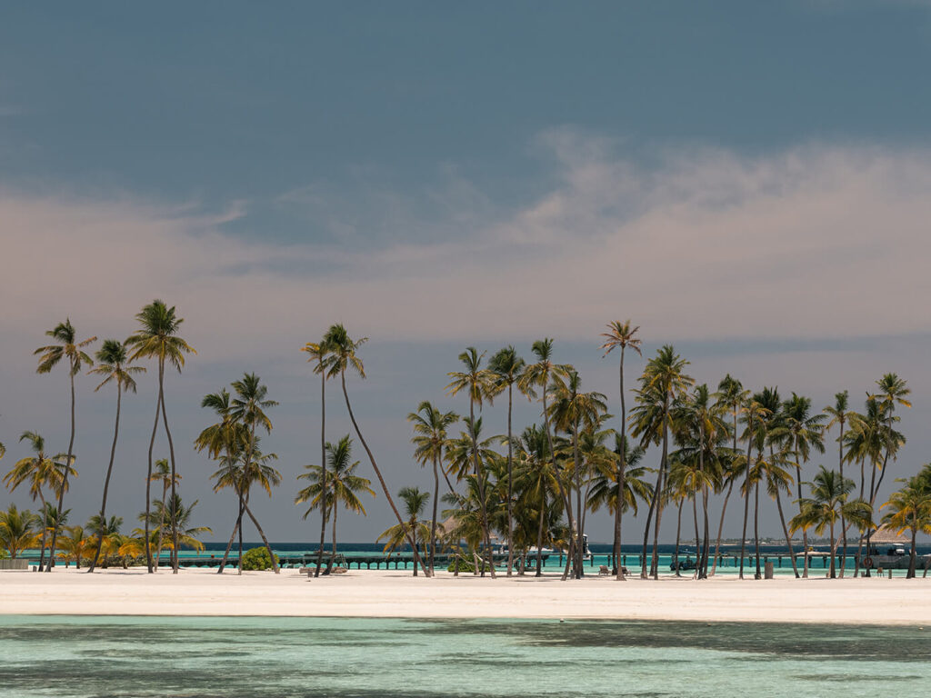 Beach at Gili Lankanfushi