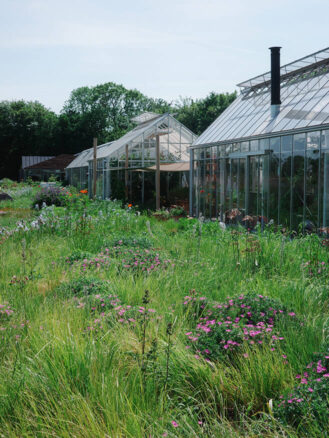 Copenhagen to Berlin Travel Diary | The gardens at Noma Projects in Copenhagen