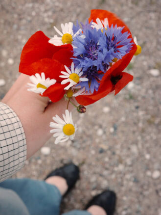 Copenhagen to Berlin Travel Diary | Rox Resort wildflowers