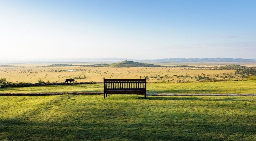 Exclusive experiences - Singita Grumeti Sasakwa Lodge - Serengeti, Tanzania - Bench overlooking the Serengeti