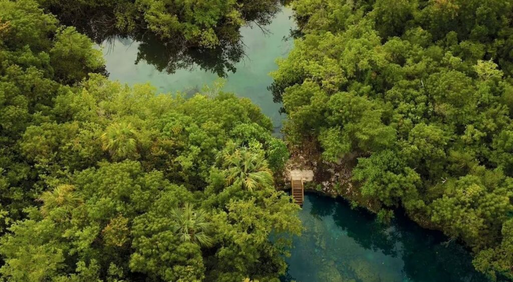 Exclusive experiences - Tortuga Bay Puntacana - Punta Cana, Dominican Republic - Aerial view of Ojos Indígenas Ecological Reserve