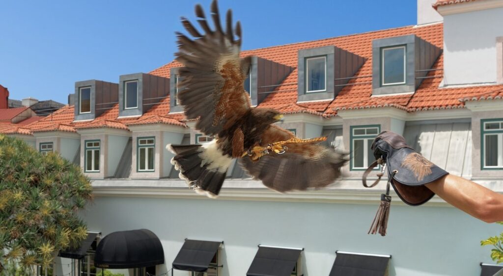 Hotel Pets - The One Palácio da Anunciada, Portugal - Kyra