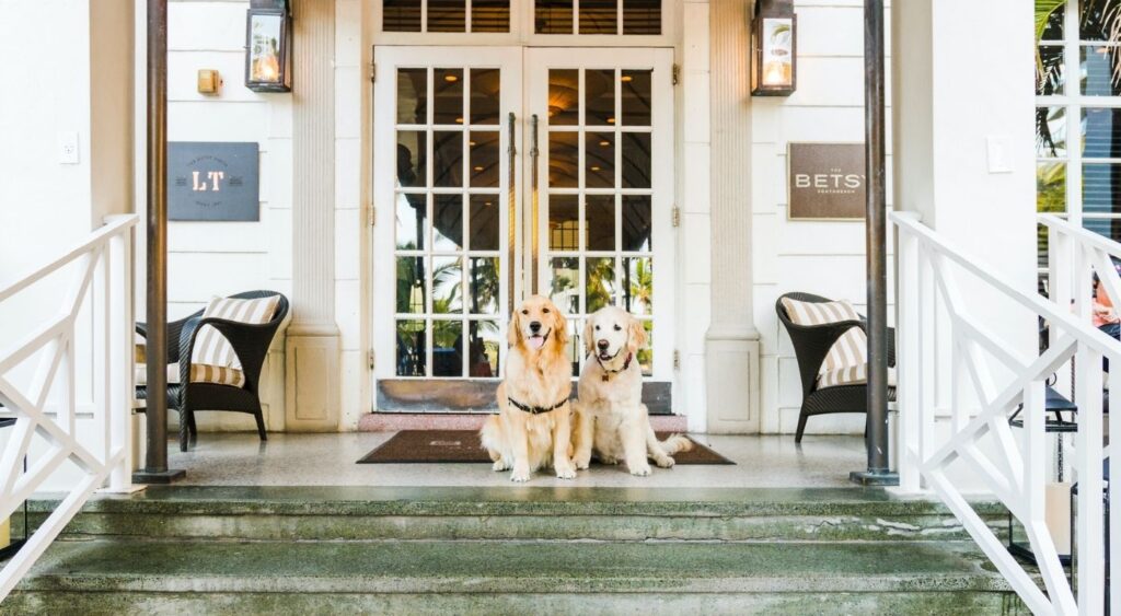 Hotel Pets - The Betsy, United States - Betsy and Rosa