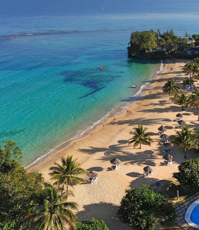 Hotel Pets - Jamaica Inn, Jamaica - Shadow